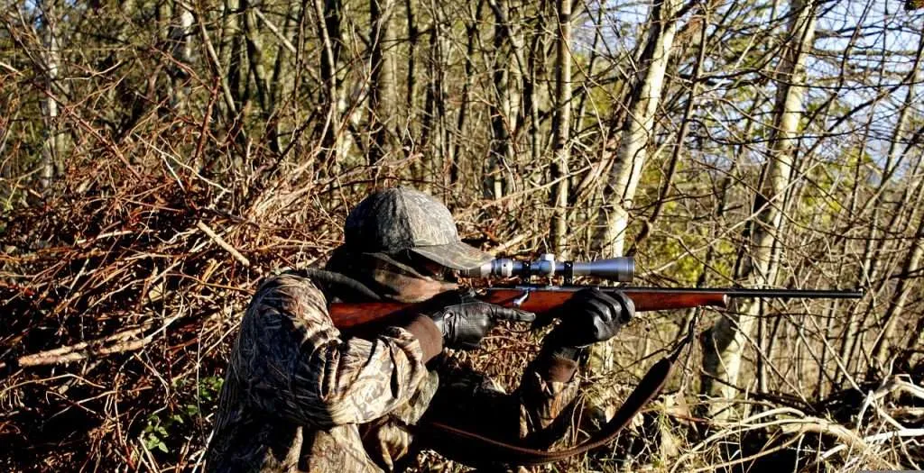 hunting, rifle, weapons-3781222.jpg